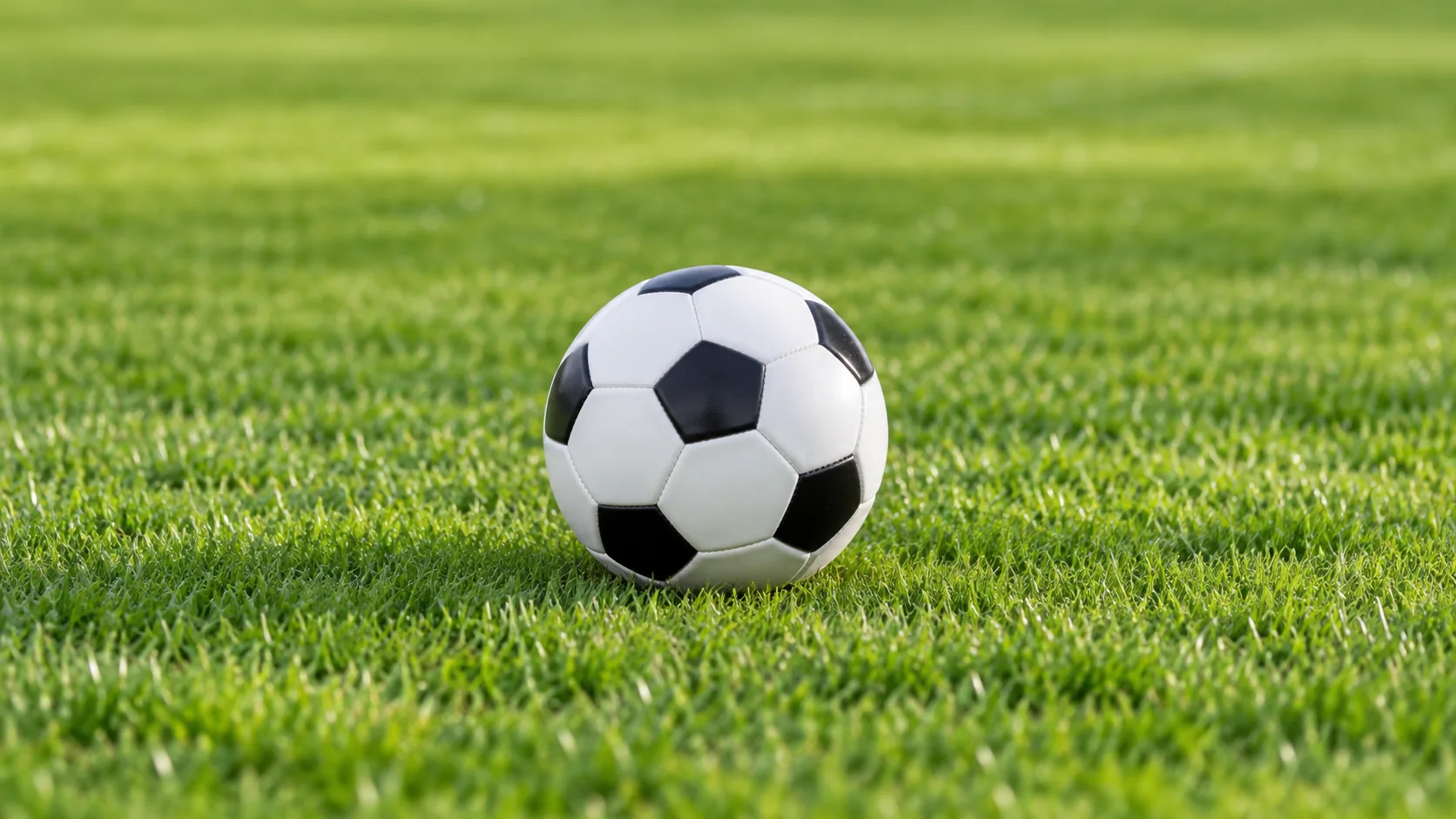 伯恩茅斯与布莱顿最新阵容及战术对比深度分析与探讨